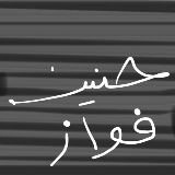 حنين فواز القريشي